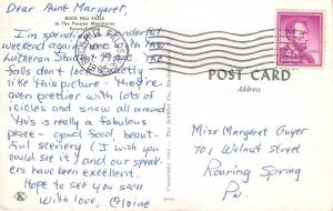 Pennsylvania~Buck Hill Falls~Man Fishing~Visitor's Note on Back~1965 Postcard