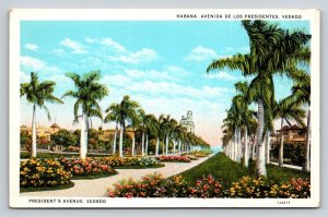 Havana Cuba Postcard President's Avenue Vedado Royal Palms Linen C. Jordi