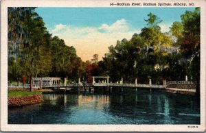 Radium River Radium Springs Albany Georgia Linen Postcard C040