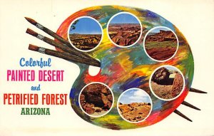Colorful Painted Desert  And Petrified Forest View Postcard Backing 