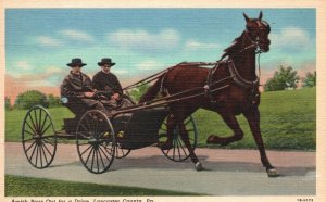 Vintage Postcard 1920's Amish Boys Out for a Drive Lancaster County Penn. PA