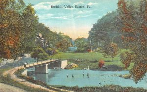 EASTON, Pennsylvania PA    BUSHKILL VALLEY  Bridge~Kids Wading In River Postcard