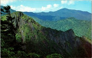 Great Smoky Mountains National Park North Carolina NC Sawteeth Range Postcard 