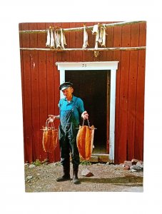 Fisherman Showing Off His Skinned Salmon Norway Vintage Norwegian Postcard