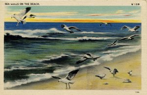 Sea Gulls on the Beach