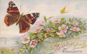 Birthday Thoughts With Butterfly