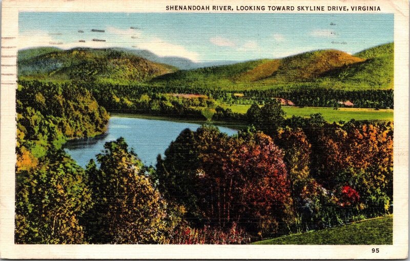 Shenandoah River Skyline Drive Virginia VA Linen Postcard PM Harrisonburg VA WOB 