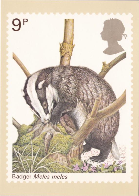 Stamps Of Great Britain Animals Badger Issued 5 October 1977