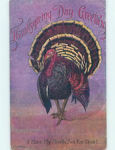 Pre-Linen thanksgiving MOUTH IS SET FOR THIS - COLORFUL TURKEY SHOWN HQ7667