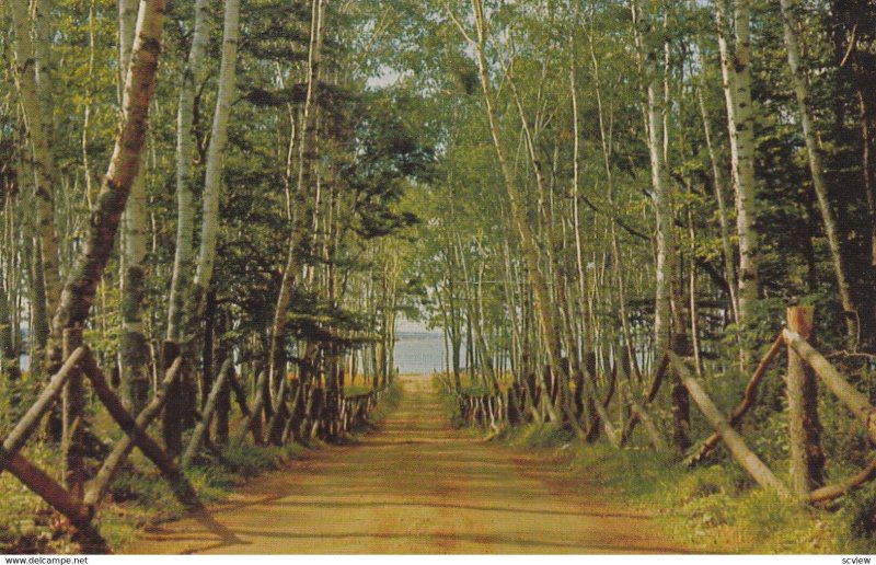 CHARLOTTETOWN, Prince Edward Island, Canada, PU-1960; Centennial Drive, Victo...