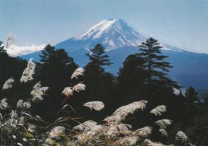 Nice View of Mount Fuji, Japan