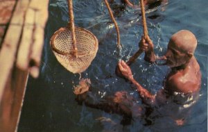 bahrain, Native Pearl Diver, Jewelry (1970s) Postcard