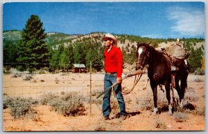 Vtg Nevada NV Cowboy Cowpuncher Brings In 4 Pointer Deer on Horseback Postcard