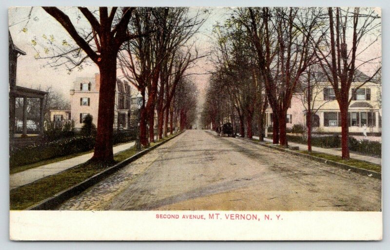 Mt Vernon New York~Second Avenue~Mansion Homes~2nd Empire Architecture~1908 PC