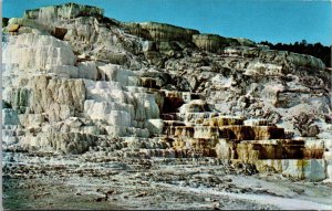 Yellowstone National Park Minerva Terrace