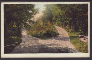 Country Lane Postcard 