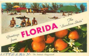 Greetings from Florida Banner Postcard, Oranges, Guys in Swimsuits 1963 Postcard