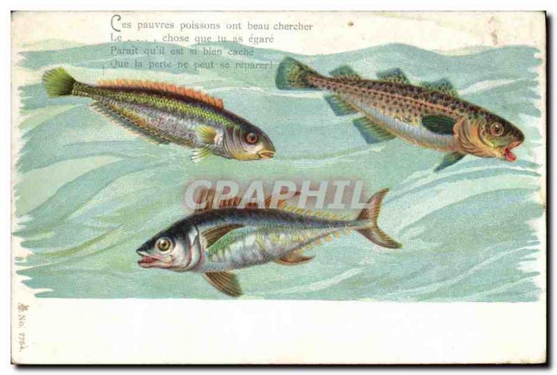 Old Postcard Fish Fish
