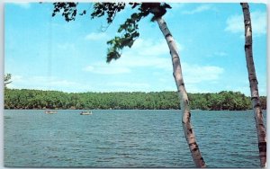 Postcard - Carroll Lake Near Minocqua & Woodruff, Wisconsin, USA 