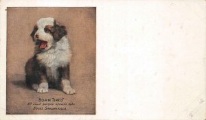 DOG BORN TIRED HOOD'S SARSAPARILLA MEDICAL ADVERTISING POSTCARD (c. 1910)