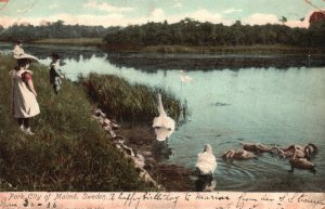 Vintage Postcard 1900's View of Park City of Malmö Sweden