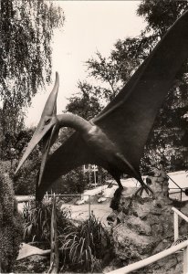 RPPC DINOSAUR, Pteranodon, Kleinwelka, GDR DDR, East Germany, 1970s