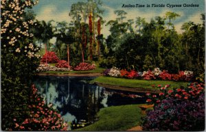 Vtg 1940s Azalea Time Cypress Gardens Florida FL Linen Postcard