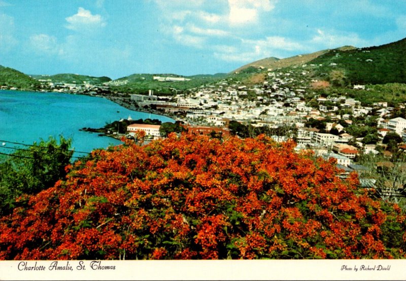 St Thomes Charlotte Amalie View Of Town and Harbor