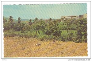 Ile De La Martinique, F.W.I. 40-60s