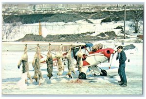 c1960's Shooting Wolves from Air Greetings from La Capella Motel Canada Postcard