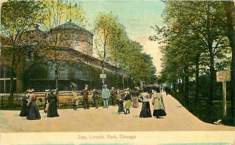 Chicago Illinois Lincoln Park 1908 Postcard Schmidt 5278