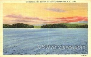 Wheeler Island - Tupper Lake, New York