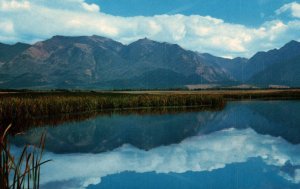 Mission Range,Rocky Mountains,MT BIN