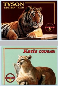 2 Postcards EUREKA SPRINGS, AR ~ Animal Conservatory TYSON, Tiger & Cougar 4x6