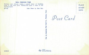 USA Seals at Houston Zoo 05.86