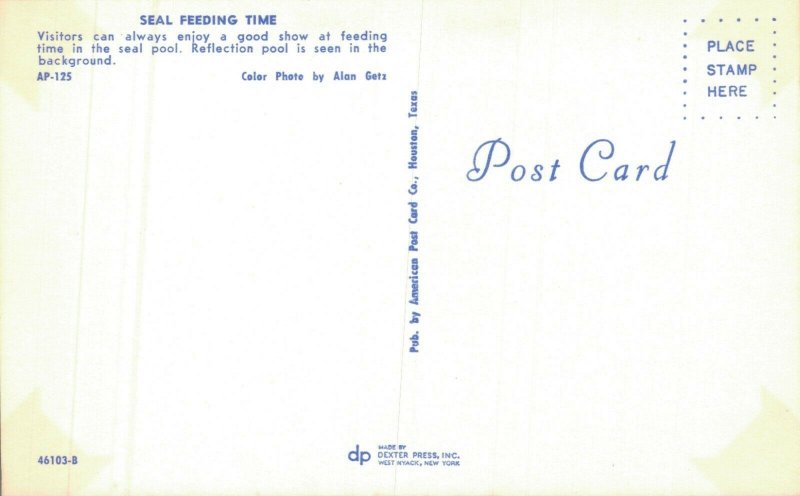 USA Seals at Houston Zoo 05.86