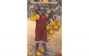 He'p yo'se'f to Grapefruit from Sunny Florida, USA  