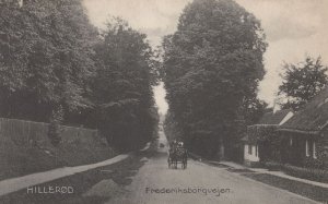 Denmark Hillerod Frederiksborgvegen Old Postcard