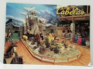 Cabela's Advertising Sidney Nebraska Catalog Showroom View Postcard J9