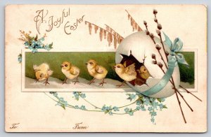 Clapsaddle Easter~Chicks Pour Out Big Egg Shell~Forget-Me-Nots~1907 Embossed PC