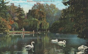 Canada Postcard - Beacon Hill Park, Victoria, British Columbia RS21180