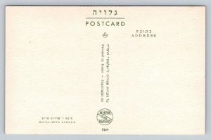 Haifa  Israel  Uno Avenue   Postcard