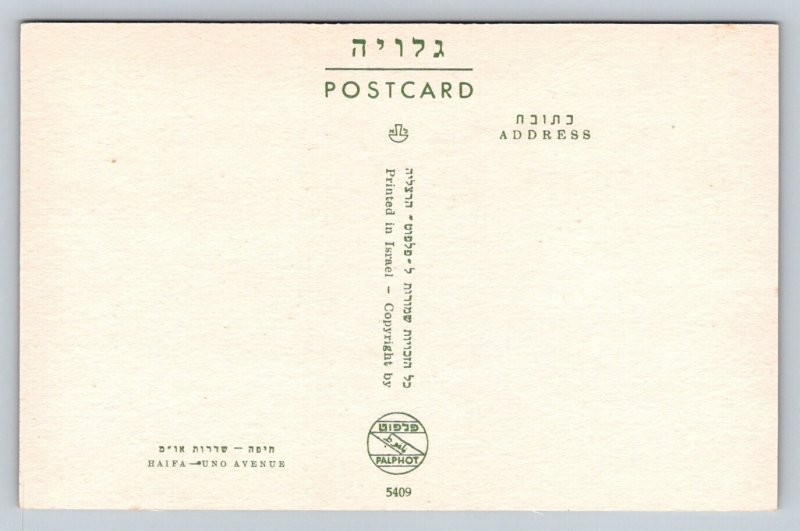 Haifa  Israel  Uno Avenue   Postcard