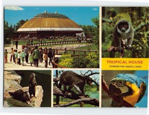 Postcard Attractions in Tropical House Assiniboine Park Winnipeg Canada