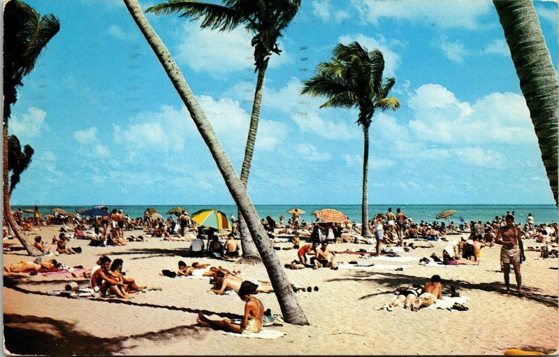 Swimming Beach Tanning Southland Miami Florida c1956 Postcard 2c Stamp PM Vtg 