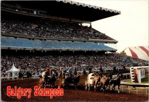 Canada Alberta Calgary Stampede Chuckwagon Races