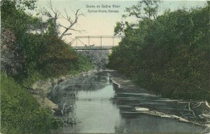 C-1910 Sylvan Grove Kansas Saline River Scene  #619 Postcard 20-6604