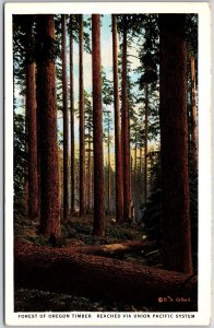 Portland Oregon OR, Forest Timber, Reached Via Union Pacific System, Postcard