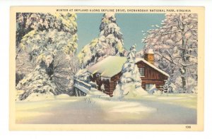VA - Shenandoah Valley Nat. Park. Skyline Drive, Skyland in Winter