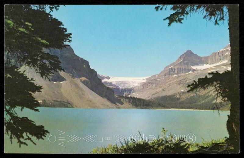 Bow Lake and Bow Glacier